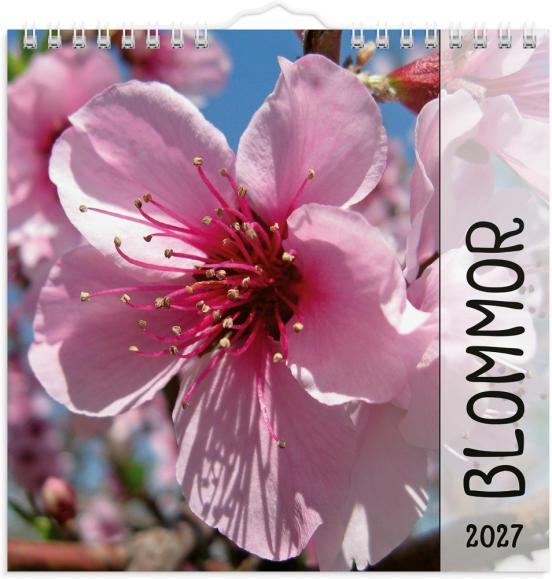  Väggkalender 2027 Blommor