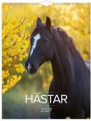  V&auml;ggkalender 2027 Stora H&auml;stkalendern