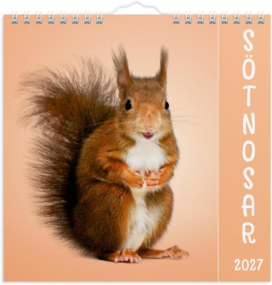  Väggkalender 2027 Sötnosar