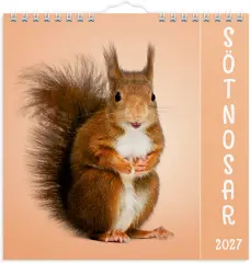  V&auml;ggkalender 2027 S&ouml;tnosar