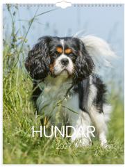  V&auml;ggkalender 2027 Stora Hundkalendern