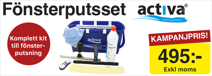 Fönsterputs